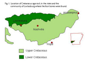 map showing where bones were found dark green for lower cretaceous period and light green for upper cretaceous