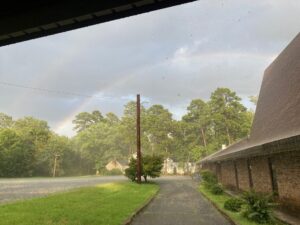 view of rainbow over trees and sidewalk next to building