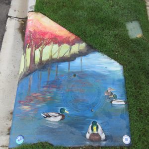 Ducks on river artwork on storm drain