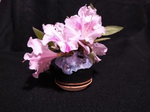Pink flowers in ceramic pot