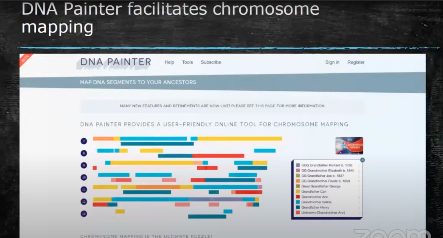 Screenshot of DNA Painter chromosome mapping
