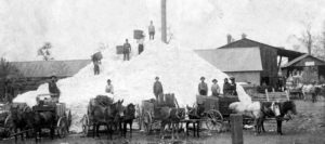 huge pile of cotton with workers standing on and around