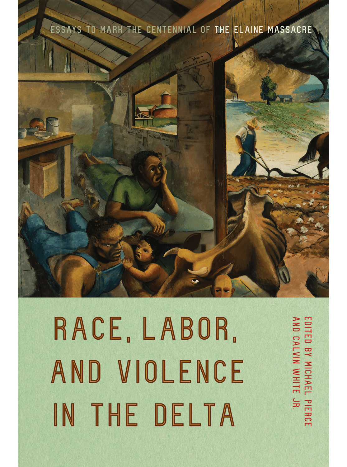 Race labor and violence in the delta book cover