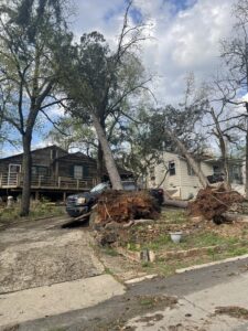 two homes pictured with two old growth trees uprooted damaging them