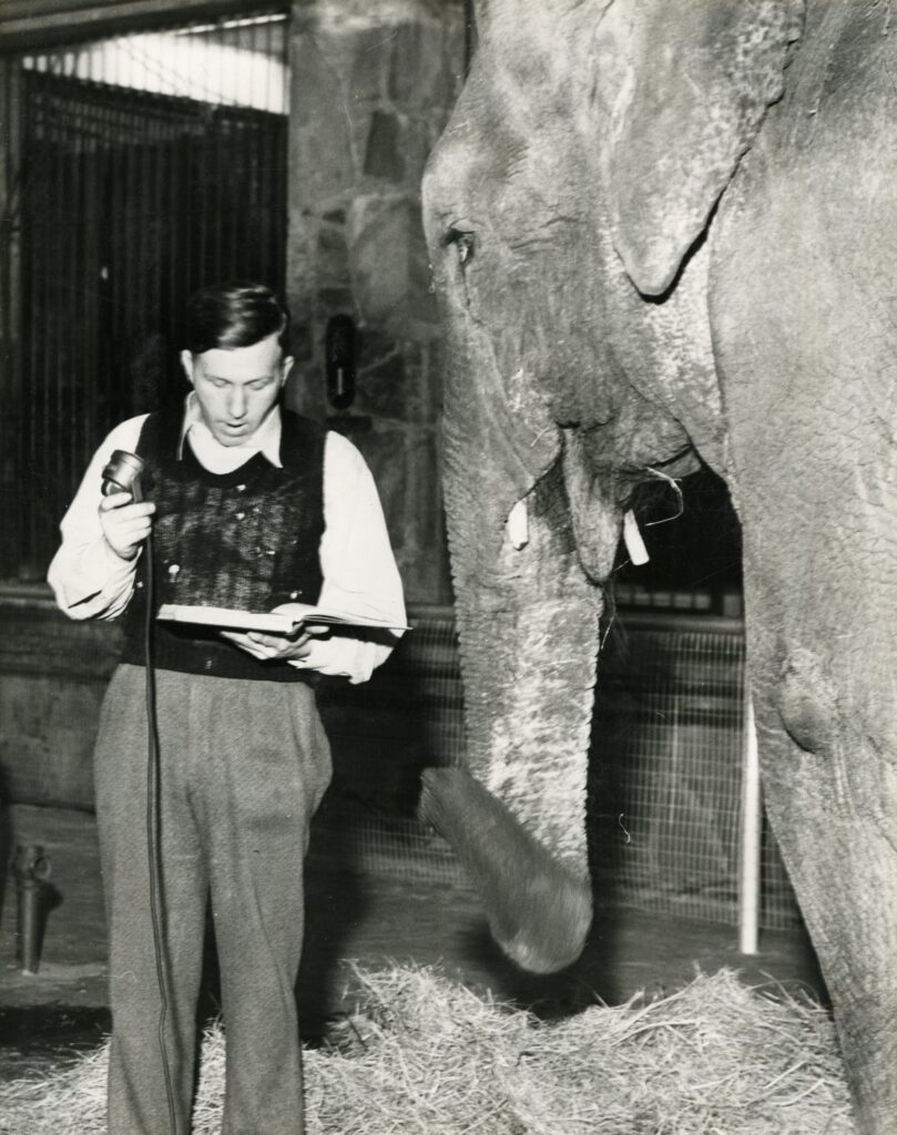 white man in dress shirt and vest holding a microphone and book next to an elephant