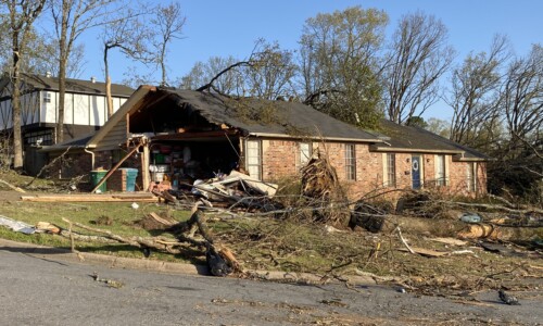 Cobble Hill Road, Little Rock, photo by Nate Thomas